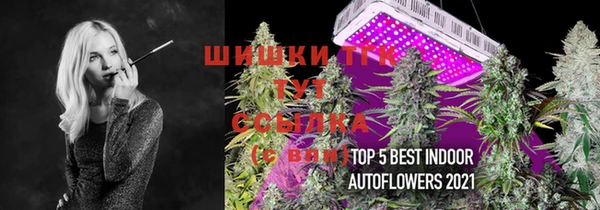 гидра Нефтекумск